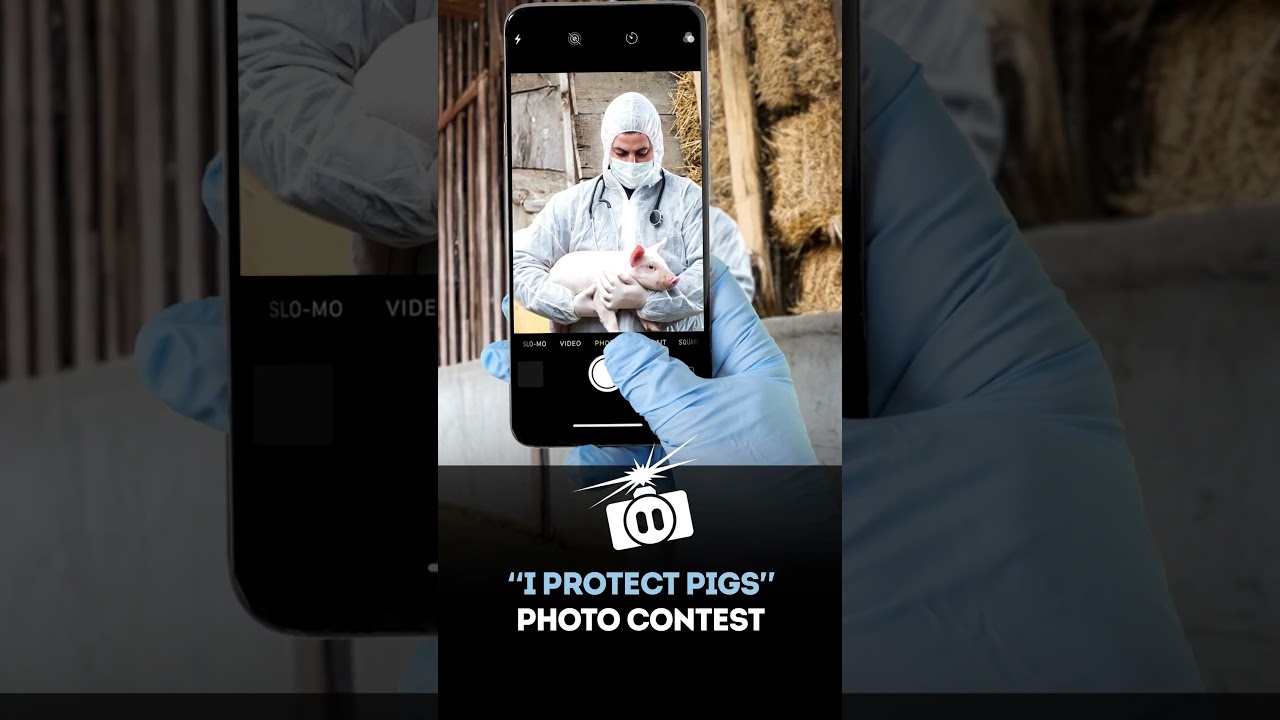 Enter the &ldquo;I Protect Pigs&rdquo; Photo Contest
