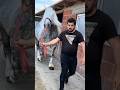 Caii lu Eli Spartanu #horses #horse