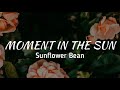 Sunflower bean  moment in the sun lyrics