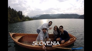 IE Application: Question I