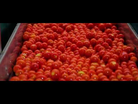 Rabena Ma3ak Mohamed Fouad ربنا معاك ـ محمد فؤاد 