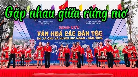 🌸Gặp nhau giữa rừng mơ #bachata