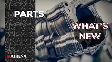 Focus on - Athena Engine Gaskets