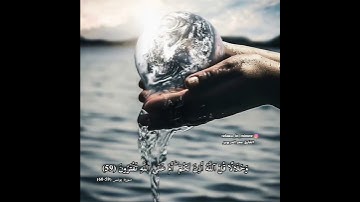 "راحة القلوب " تلاوه خاشعة للقارئ عمر الدريويز