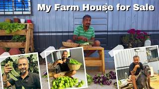 My Dream Farm & Home Is Finally for Sale || Emotional Journey of Selling My Dream Home & Land
