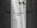 The meaning of life