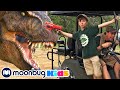 Giant Jurassic T-Rex Ranch Dinosaur Chase! | Jurassic Tv | Dinosaurs and Toys | T Rex Family Fun