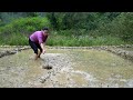 FULL VIDEO: 60 Days Build Agriculture From START TO FINISH | Sow Seeds, Gardening, Farm Life