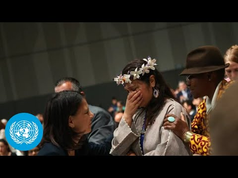 Un news in brief (13 december 2023) | united nations