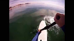 Stand Up Paddle Boarding w/ Dolphins!! Puerto Penasco Mexico