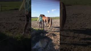 Hummer Komt Aan Op De Ettingen