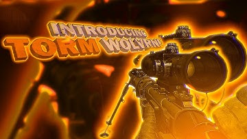 Introducing: Torm Wolvrne - By Ceto | Powered By @InsaneLabz