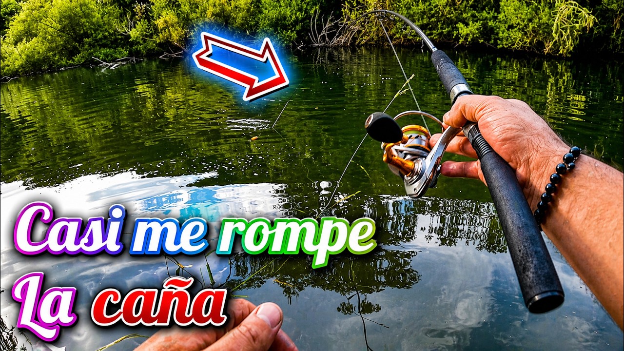 Trucha record casi me rompe la caña | pesca en la Cienaga | Segunda Jornada 2022