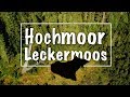 Vlog109 - Wandern im Hochmoor Leckermoos bei Göstling an der Ybbs / DJI Spark / Best Ager