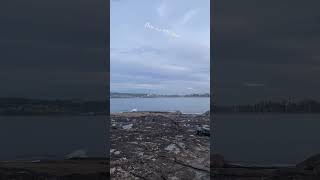 Curlcurlbeach #nature #viral #beach #travel #amazing #vlogger #vlog #viralvideo #shortvideo #sub