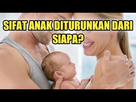 Video: Apakah sifat yang diwarisi?