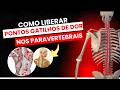 Como liberar pontos gatilhos de dor nos paravertebrais com Dry needling
