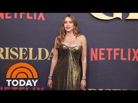 This Sofia Vergara Leak Is Making Headlines Worldwide