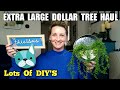 Extra Large Dollar Tree Haul | So Many DIY Ideas | Answering Some Questions | March 11