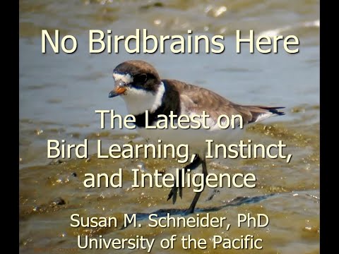 VIDEO of SEP 21st Community Program: Why Birds Flock ~ Morro Coast Audubon  Society