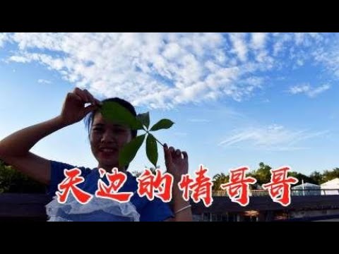 一曲DJ版《天边的情哥哥》唱的真好听，单曲循环一晚上，百听不腻
