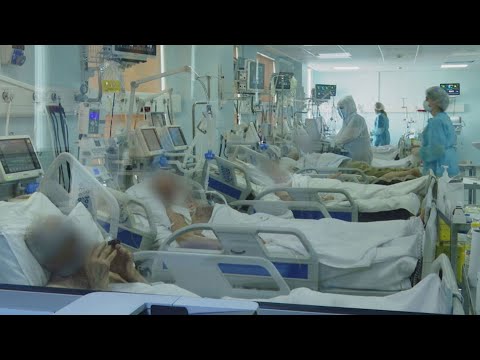 წლის განმავლობაში საქართველოში კორონავირუსით ინფიცირების ყველაზე მაღალი მაჩვენებელი გამოვლინდა