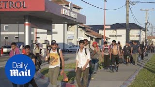 Hundreds Of Migrants March Toward Hungary Border In Protest - Daily Mail