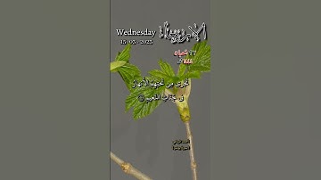 سورة يونس - إن الذين آمنوا وعملوا الصالحات يهديهم ربهم بإيمانهم - تاريخ اليوم