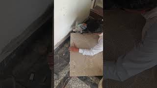 Wall Tiles installation ♥️ Tiles Cutting Chemical Tiles install BS Contractor #shorts #tiles #tile