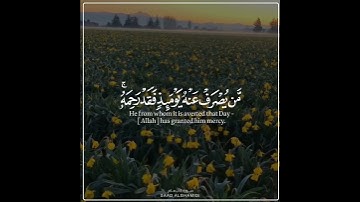 شيخ سعد الغامدي اجمل حالات واتس اب دينية سورة الأنعام قل إني أخاف إن عصيت ربي.....🌼💙