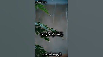 تلاوة رائعة للشيخ محمد أحمد حسن في صلاة التراويح من جامع الأزهر الشريف  #سورة_الضحى #الأزهر_الشريف