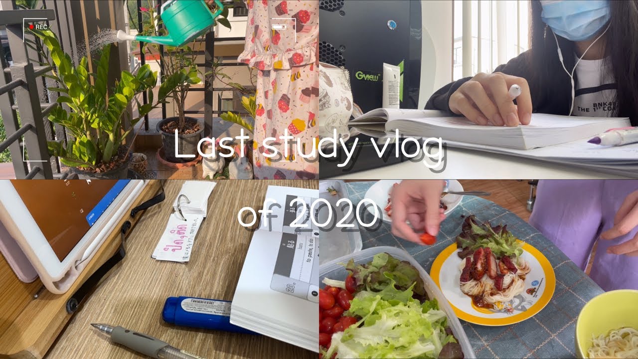Vlog#5 ; Last Study Vlog of 2020 |ปั่นคอร์สที่เรียนพิเศษ , อ่านสังคม ,รีวิวปี 2020