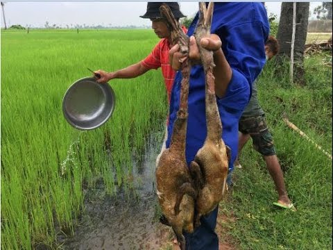 street food cinema pasadena Country food in my village | Khmer food | Duck curry in my village