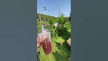 Quá Đã Luôn - Thác Cây Cau Bảo Lộc #baoloc #dulichvietnam #travel