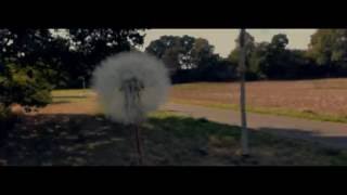 All I Need - Air (My Own Little Video)