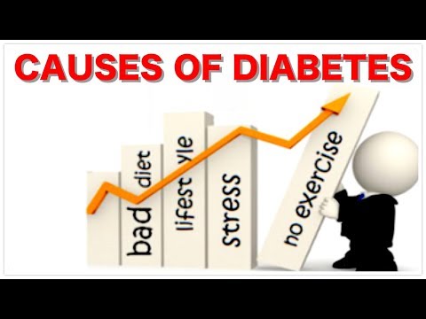 causes-of-diabetes-what-is-insulin?-and-what-is-blood-sugar-glucose?