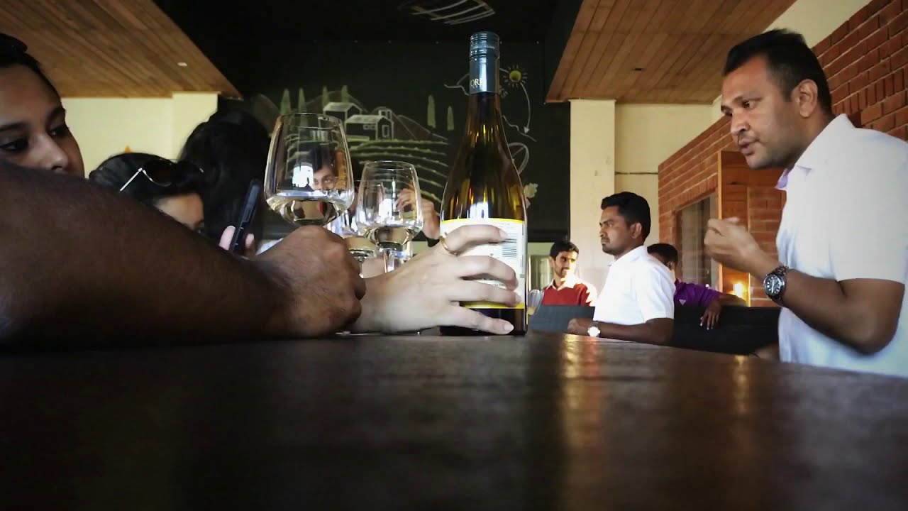 Wine Tour At York Vineyard, Nasik