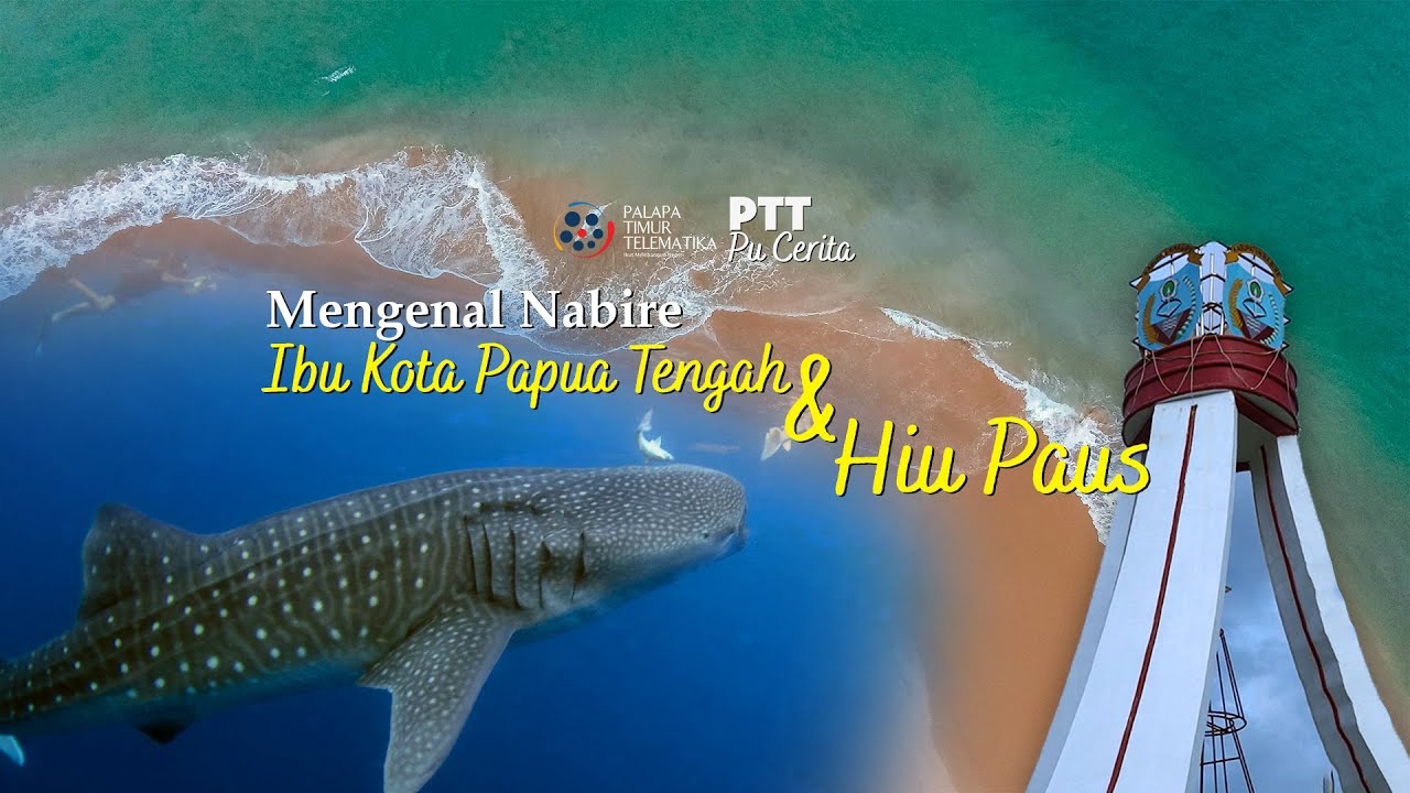 MENGENAL NABIRE: IBU KOTA PAPUA TENGAH & HABITAT HIU PAUS | PALAPA RING TIMUR