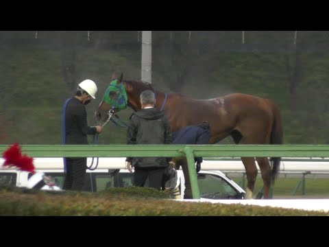 残念　トーセンスーリヤ　予後不良