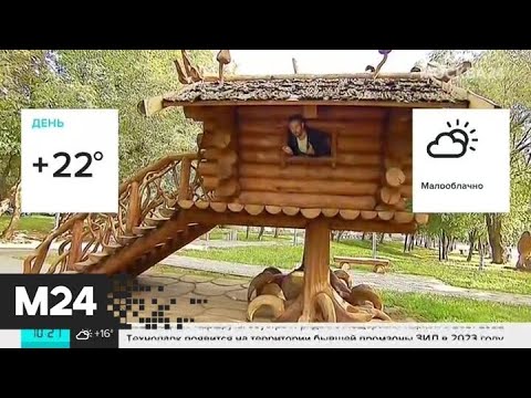 "Утро": москвичам рассказали о погоде в столице в четверг - Москва 24