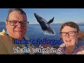 Underprivileged whale watching with yankee in the south