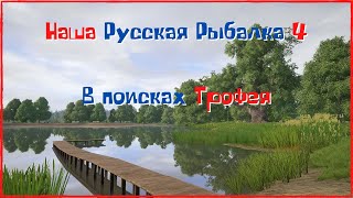 Наша Русская Рыбалка 4 | В поисках Трофея | Фарм Серебра | Yuri Play