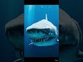 Megalodon, Hiu Terbesar yang Pernah Menguasai Lautan!