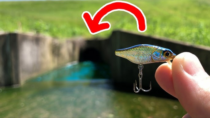 Brent Huskey on X: Try my new micro crankbait,the Tiny Fry