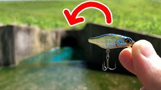 PUDDLE Fishing with a TINY Crankbait!!! (HIDDEN SPOT)