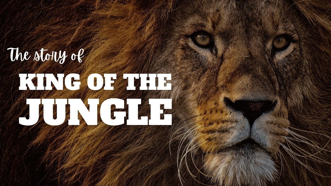 The Lion Of Vedanta | Day One Of Vedantic Path To True Fulfilment Through Stories