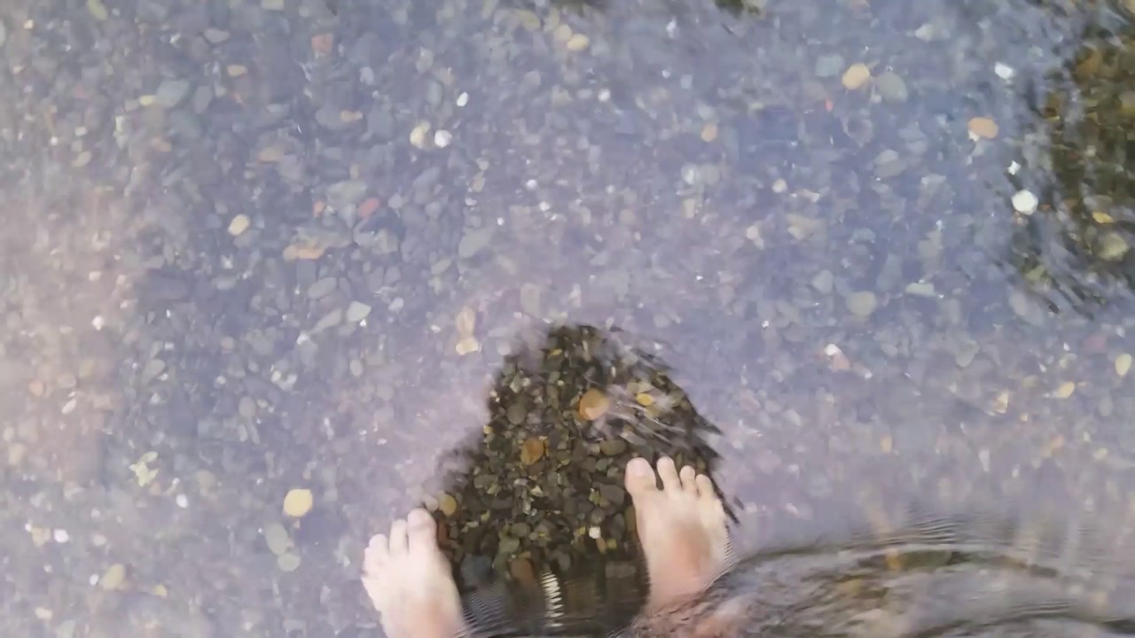 camera iphone 8 plus apk Standing in the Crystal Clear Water of the Bahorok River at Two-day Trek Campsite near Bukit Lawang