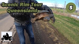 Scenic Rim Tour Australia #5