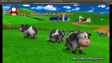 Dolphin Linux - Vulkan RADV Fixed