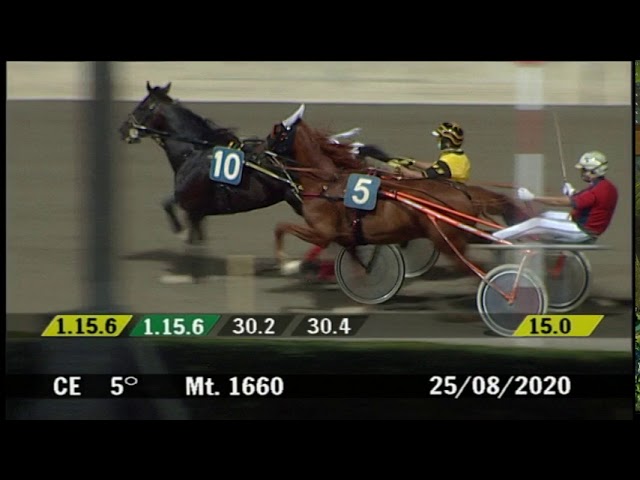 2020 08 25 | Corsa 5 | Metri 1660 | Premio Hippoweb - Trofeo Croce Rossa Italiana